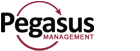Pegasys Automotive Management